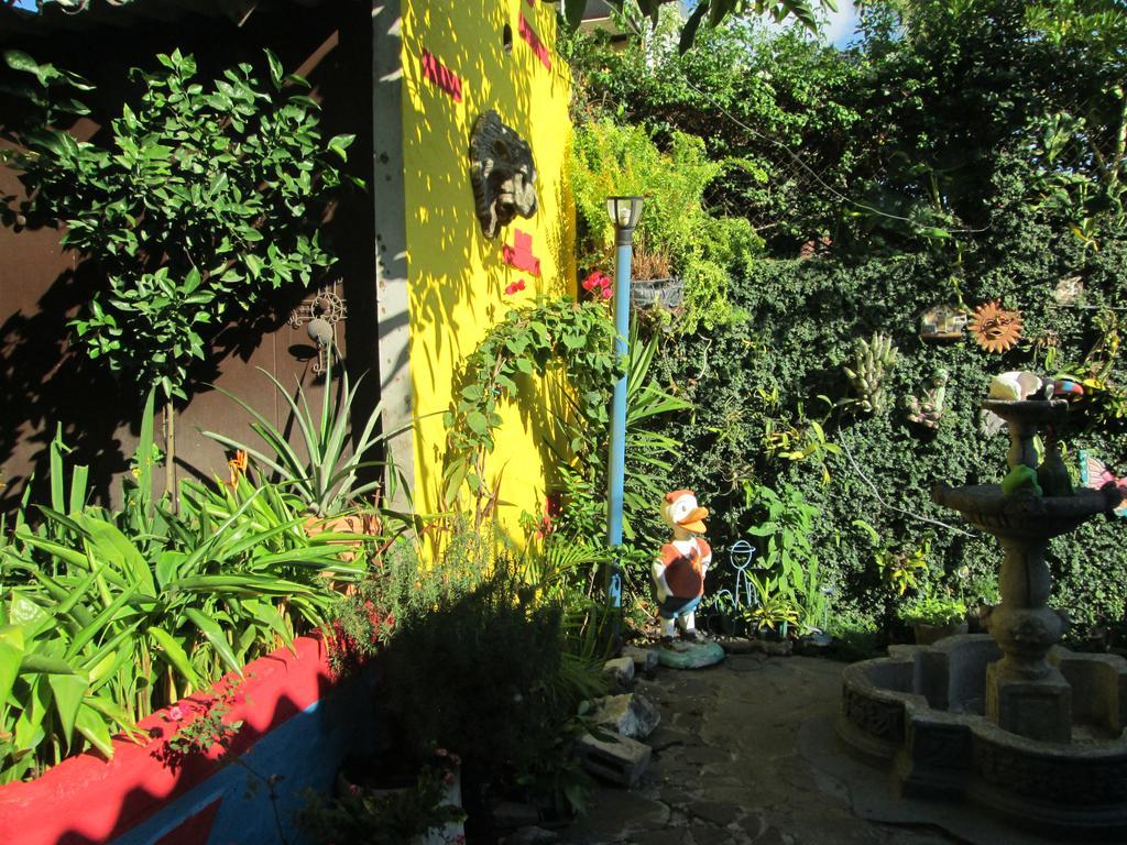 Hotel San Mateo San Salvador Exteriör bild